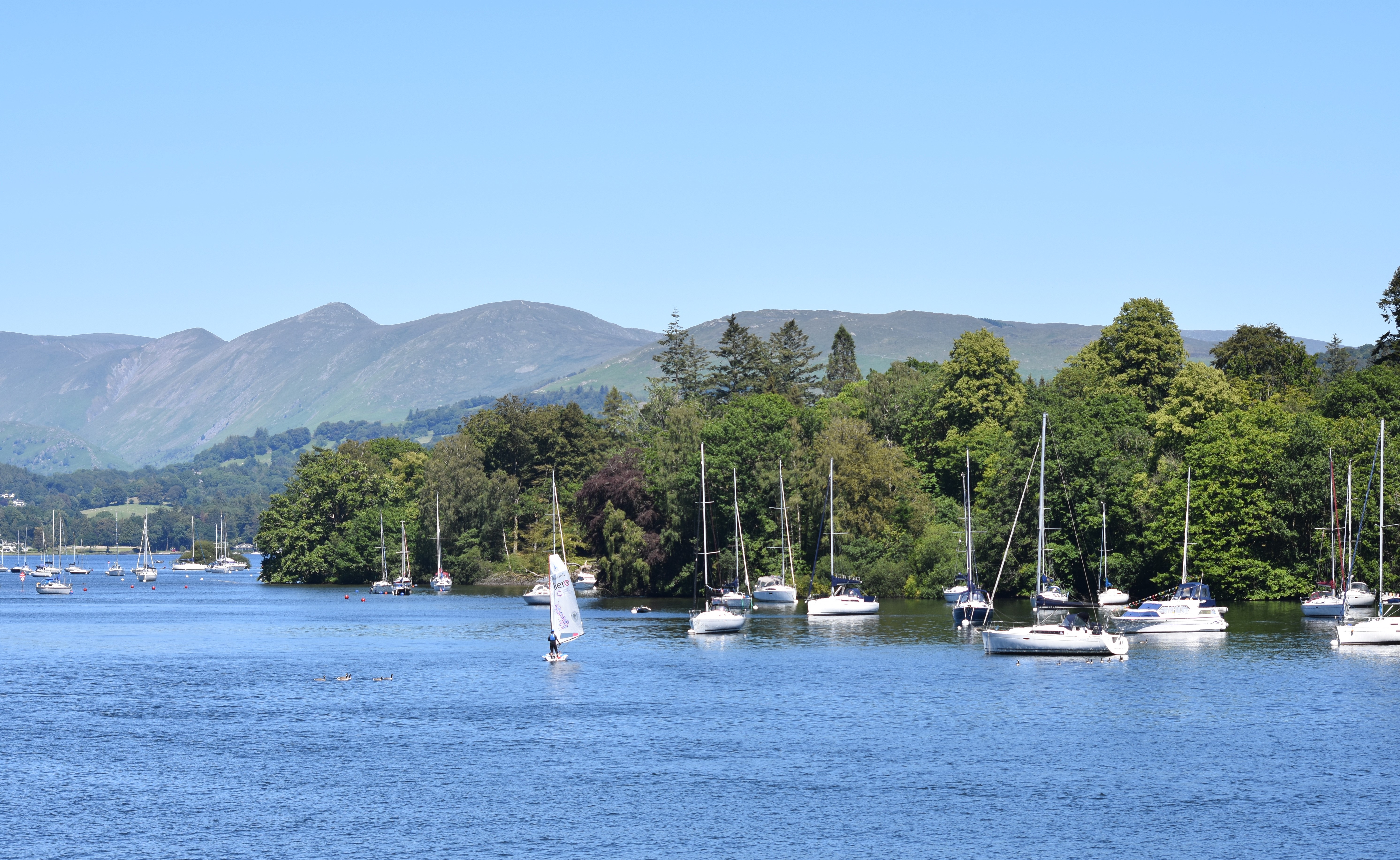 Read more about the article Yodare Islands of the Week No.21- “The Windermere 14”
