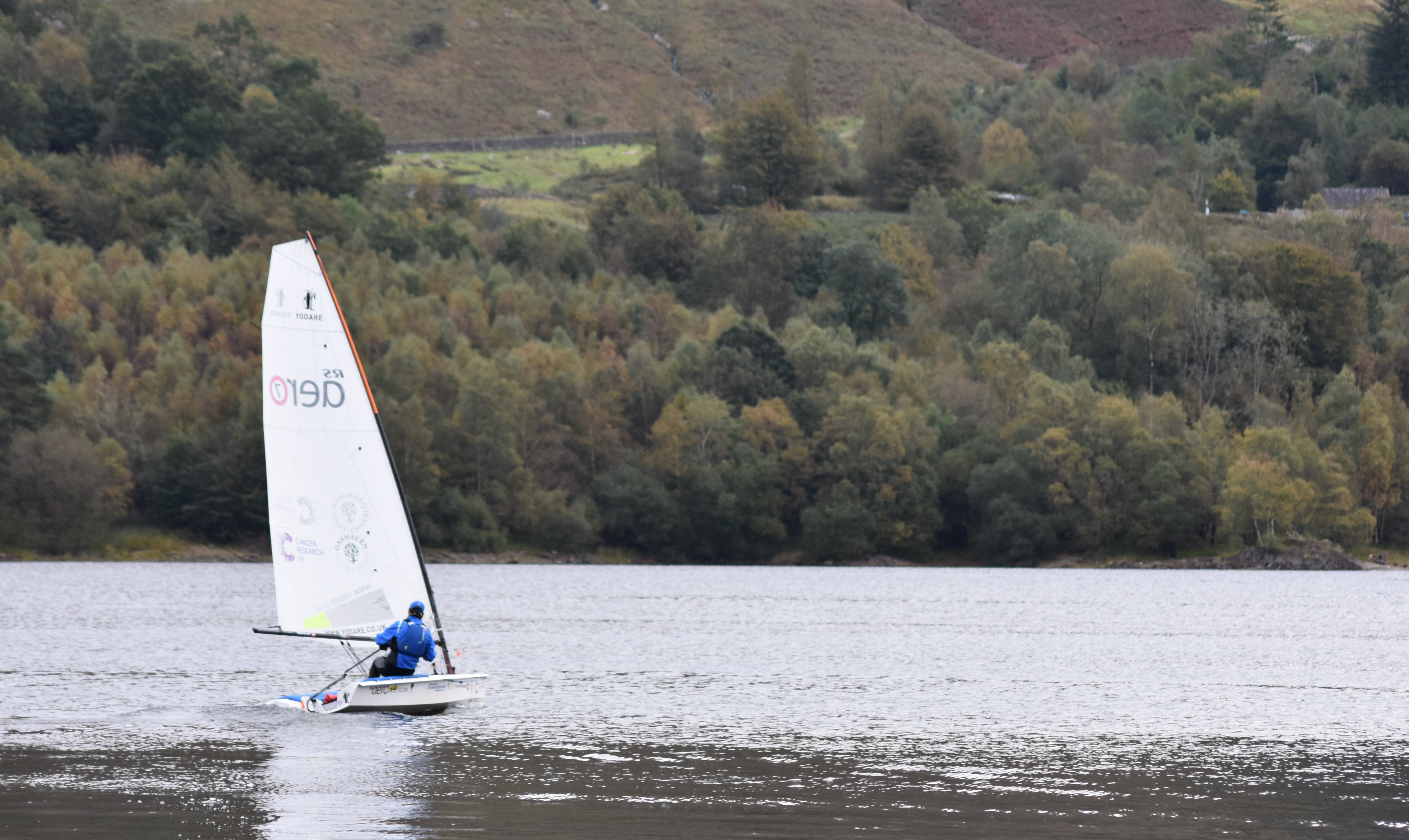 Read more about the article Yodare Islands of the Week 22 – Thirlmere